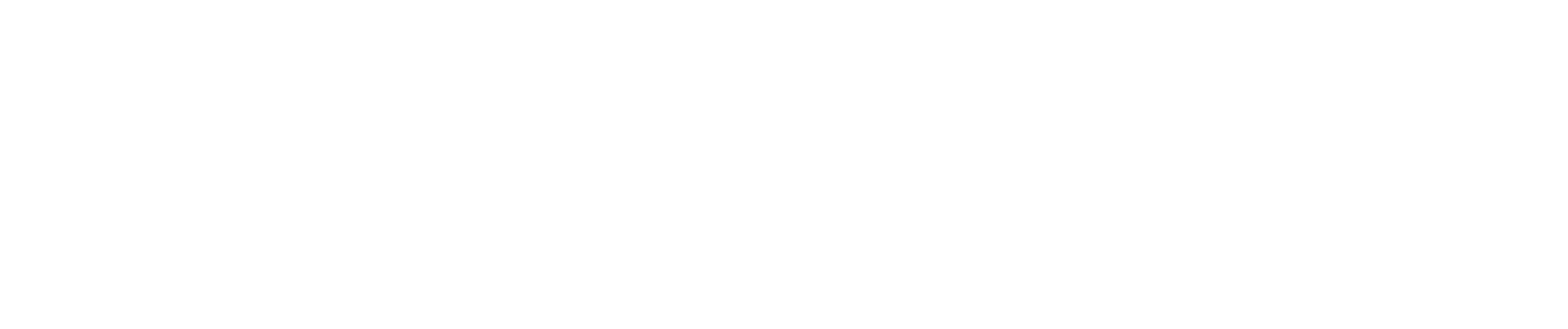 BYD logo