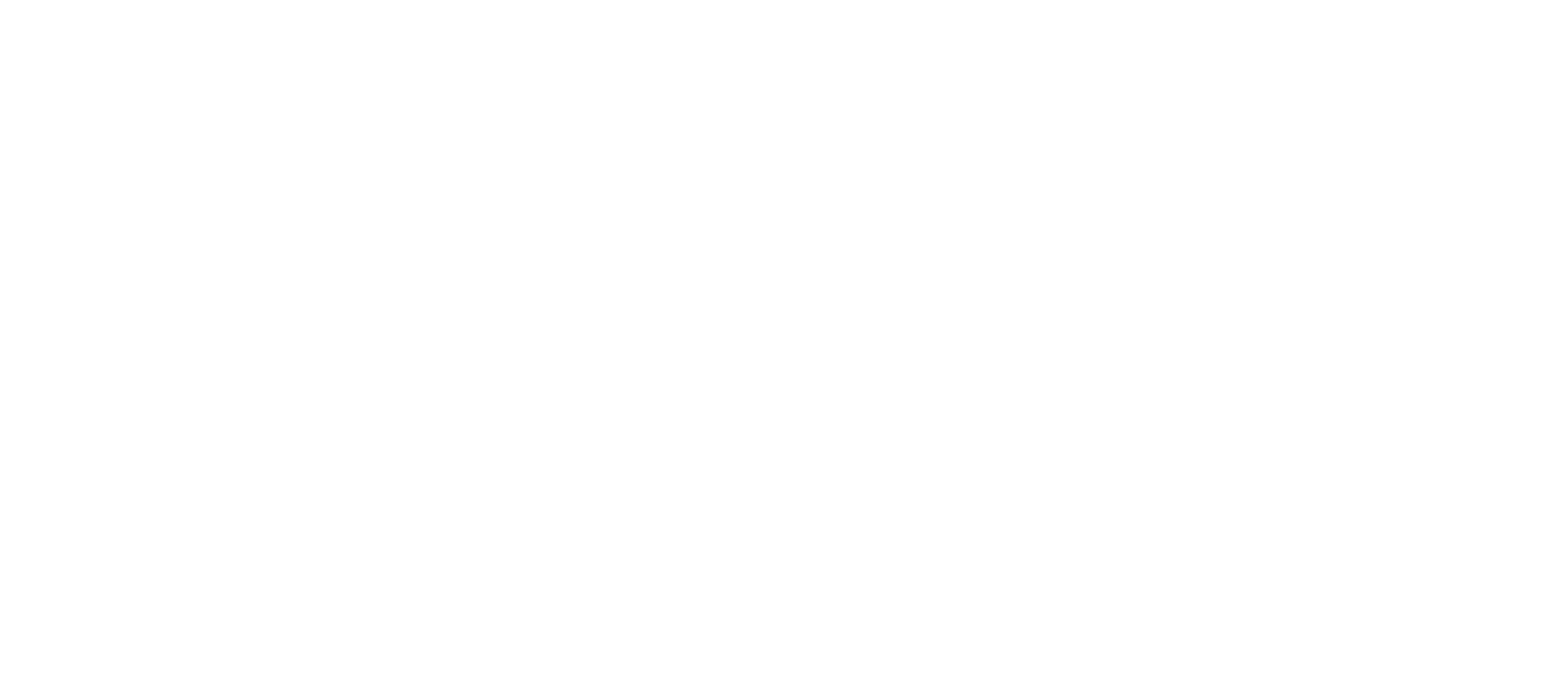 Li Auto logo